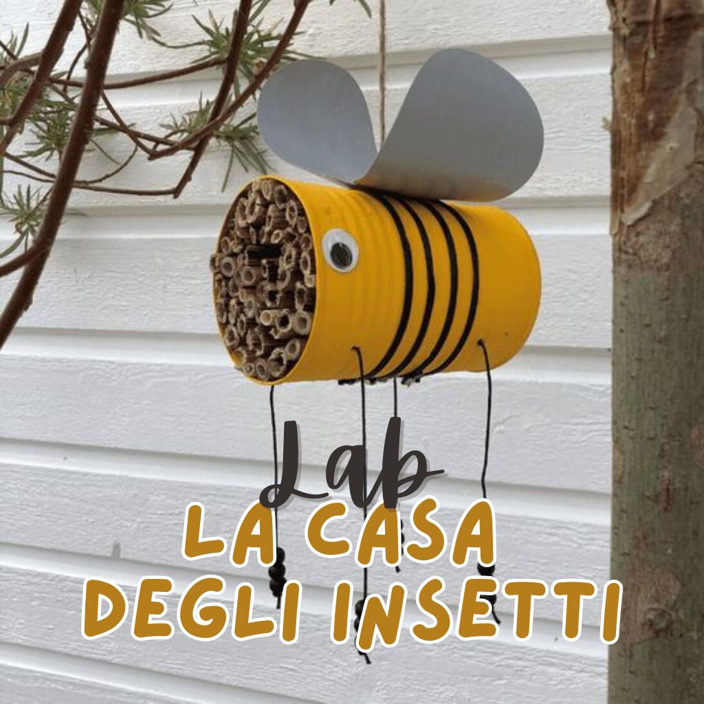 Al Giardino di Fondazione La Comune: La Casa degli insetti