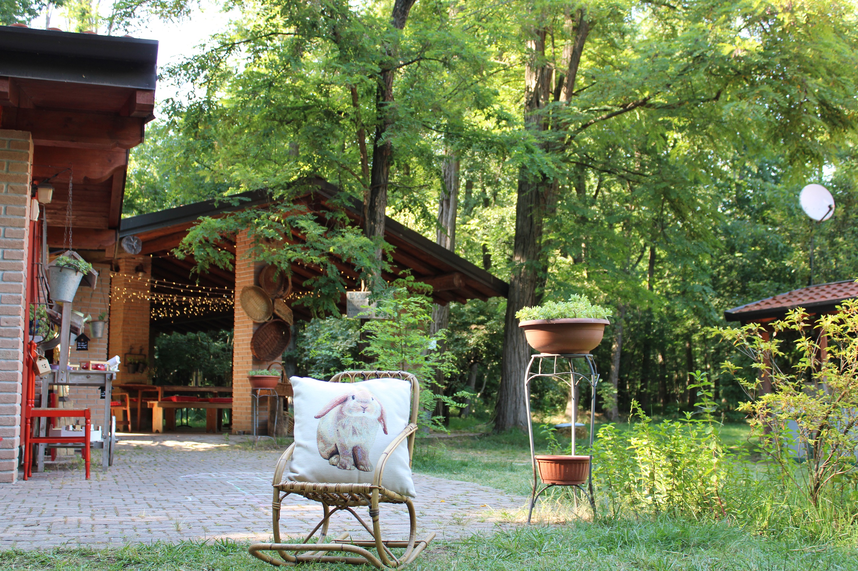 Il Bosco Eremo Locatelli