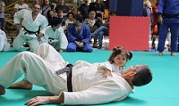 judo