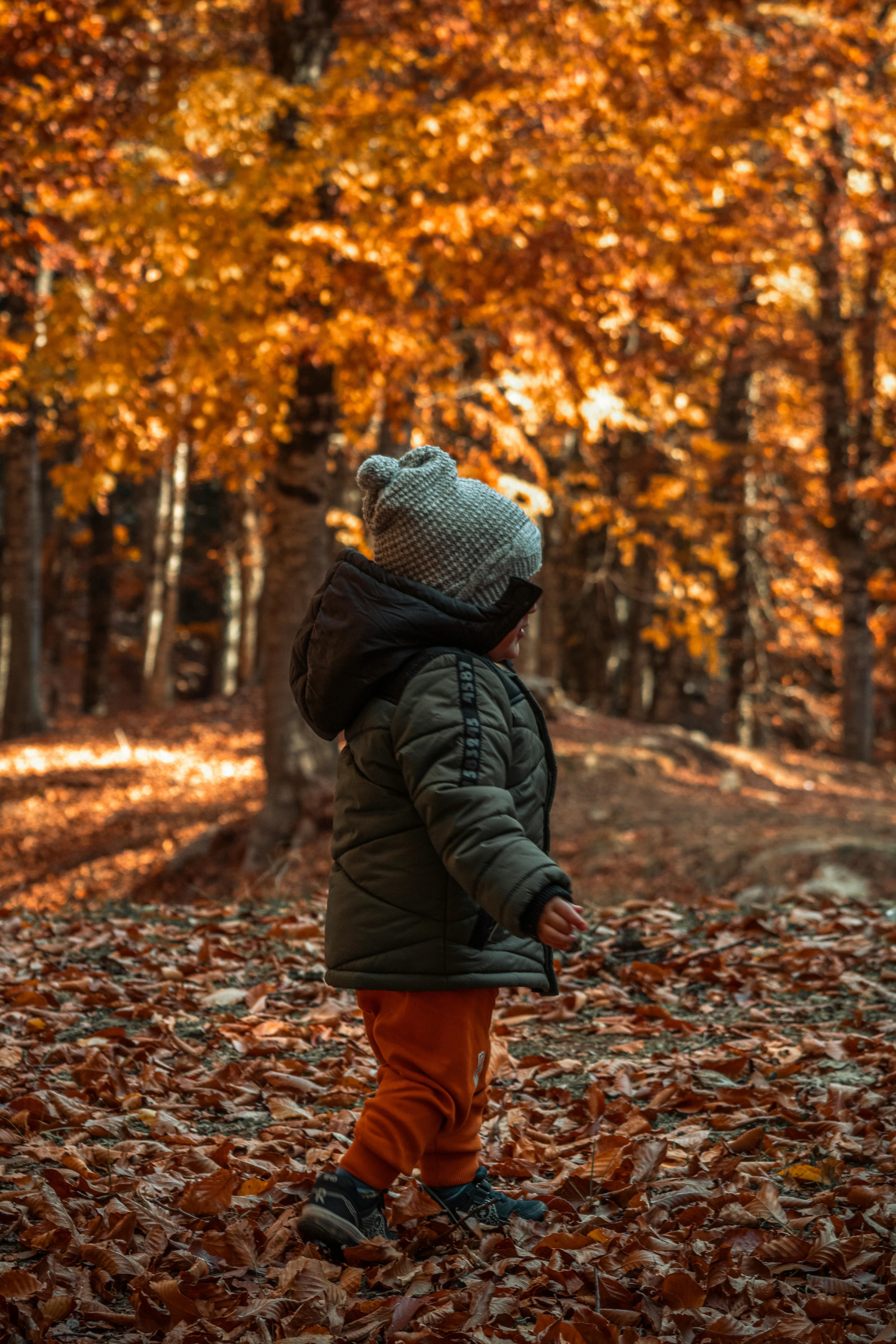 Bosco Wwf di Vanzago: escursione tematica per i bambini