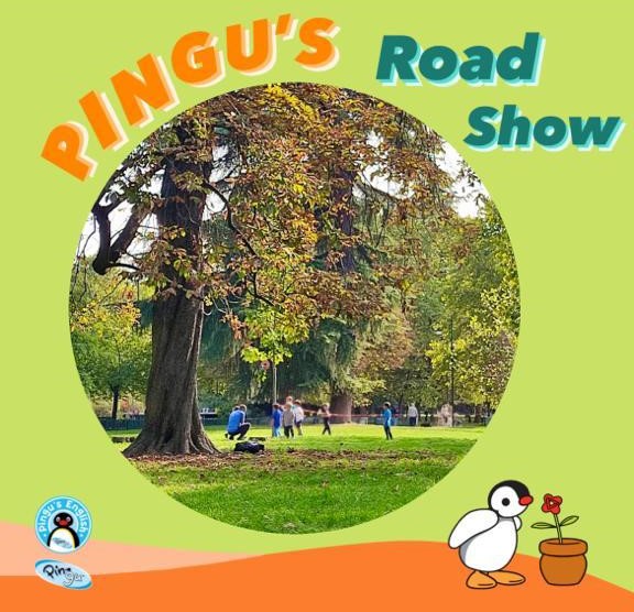 Pingu's