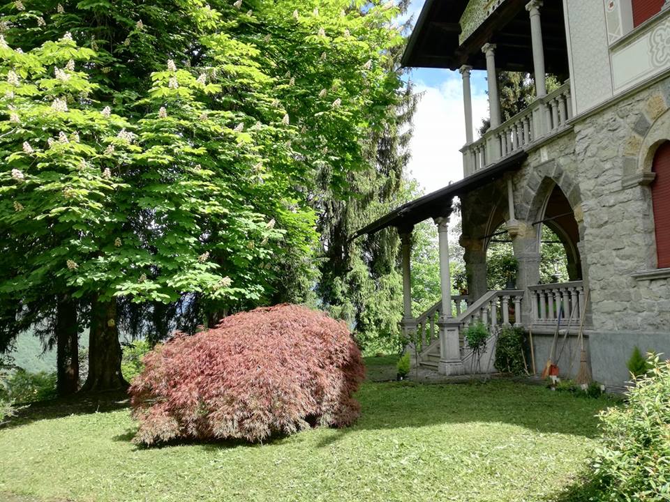 Nido Dadà nel bosco Valsassina