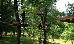 treeexperience milano parco avventura bambini e ragazzi