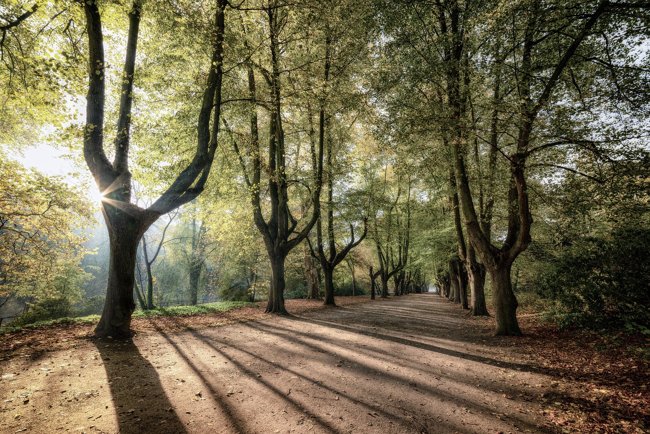 Parco Archeologico di Castelseprio: un pomeriggio d'estate al Castrum