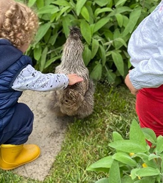 Asili con animali e outdoor education a Milano