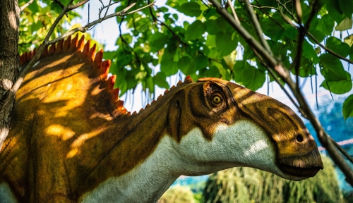 Mostra Dinos Alive: un'esperienza immersiva presso La Cattedrale